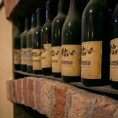Ca Trifolera Barbaresco - Romantico Cascinale Con Antica Cantina Nel Cuore Delle Langhe - Degustazione Vini Nella Nostra Cantina エクステリア 写真