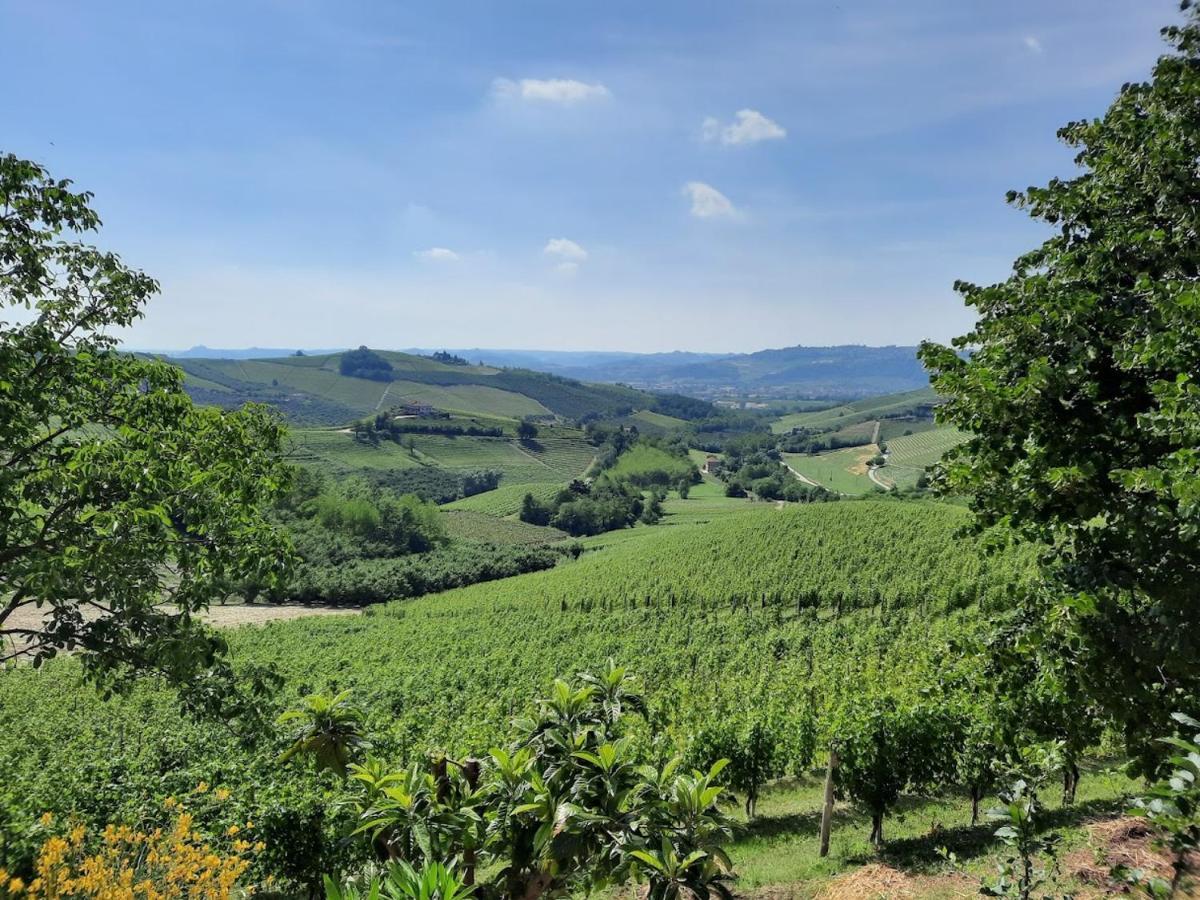 Ca Trifolera Barbaresco - Romantico Cascinale Con Antica Cantina Nel Cuore Delle Langhe - Degustazione Vini Nella Nostra Cantina エクステリア 写真