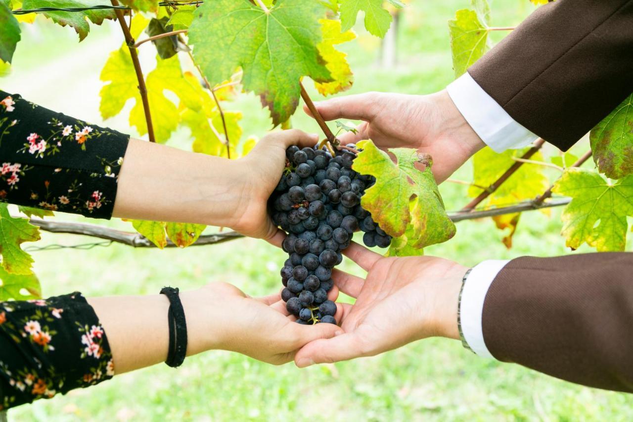 Ca Trifolera Barbaresco - Romantico Cascinale Con Antica Cantina Nel Cuore Delle Langhe - Degustazione Vini Nella Nostra Cantina エクステリア 写真