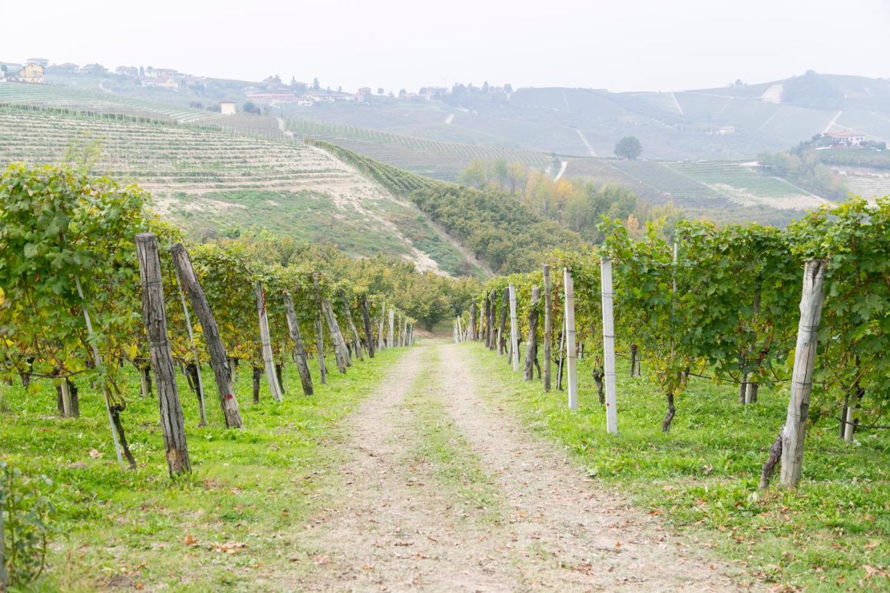 Ca Trifolera Barbaresco - Romantico Cascinale Con Antica Cantina Nel Cuore Delle Langhe - Degustazione Vini Nella Nostra Cantina エクステリア 写真