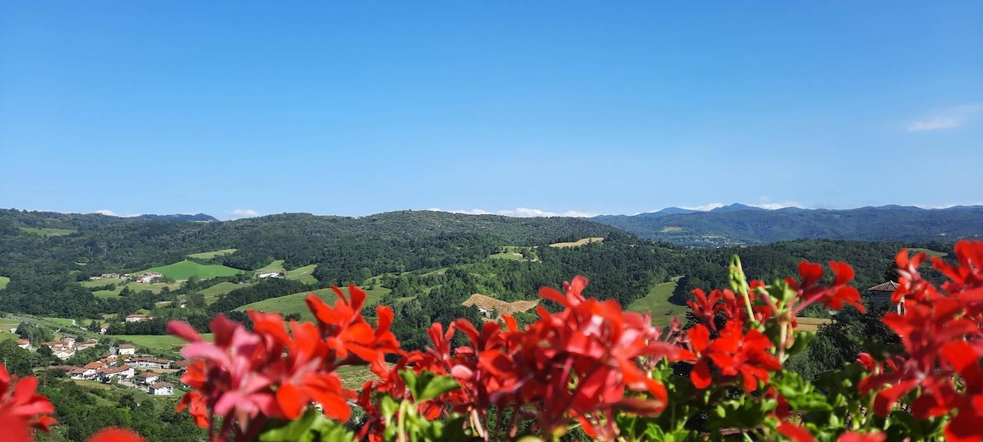 Ca Trifolera Barbaresco - Romantico Cascinale Con Antica Cantina Nel Cuore Delle Langhe - Degustazione Vini Nella Nostra Cantina エクステリア 写真
