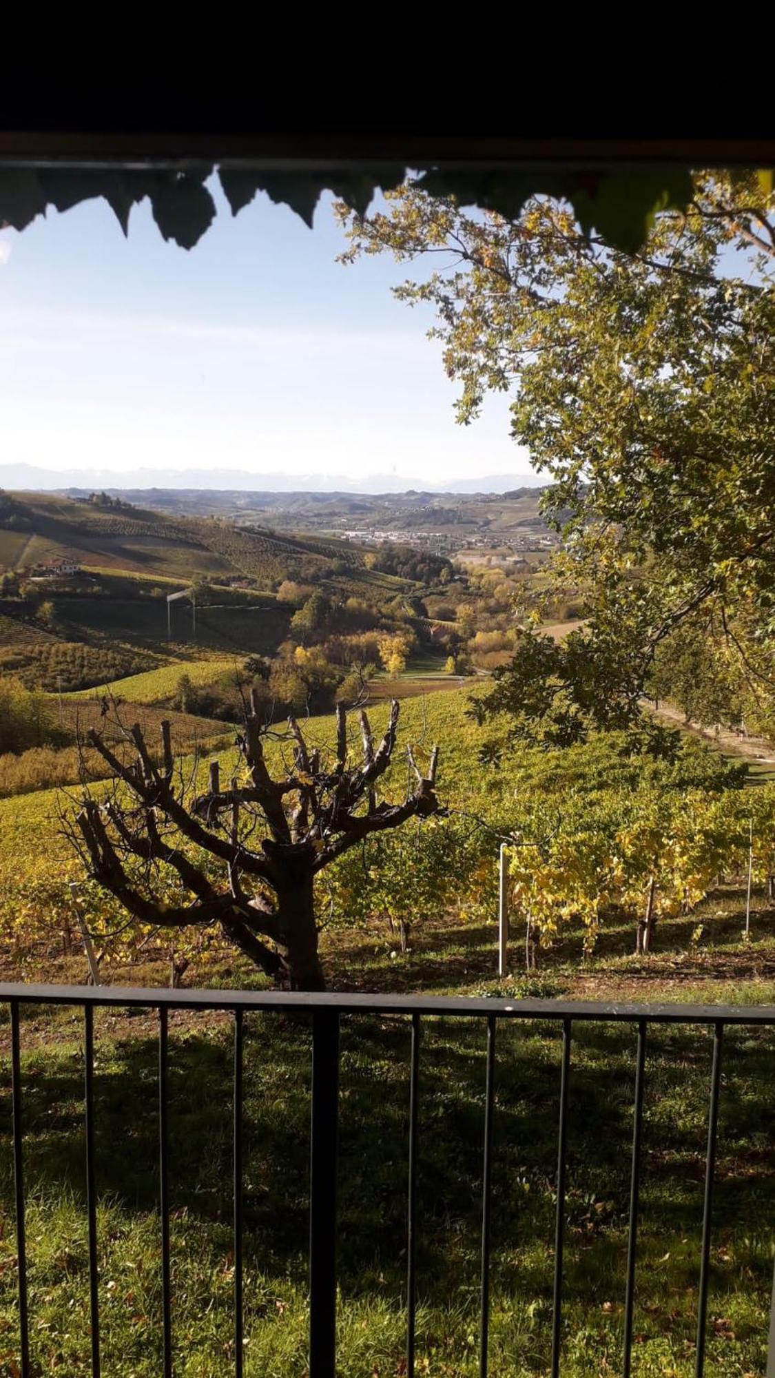 Ca Trifolera Barbaresco - Romantico Cascinale Con Antica Cantina Nel Cuore Delle Langhe - Degustazione Vini Nella Nostra Cantina エクステリア 写真