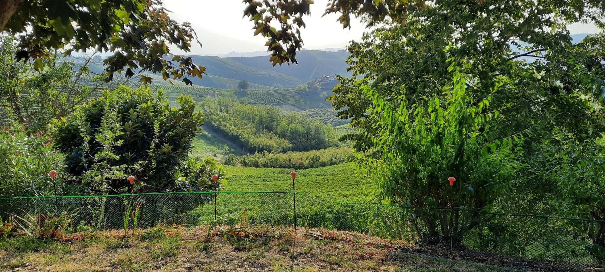 Ca Trifolera Barbaresco - Romantico Cascinale Con Antica Cantina Nel Cuore Delle Langhe - Degustazione Vini Nella Nostra Cantina エクステリア 写真