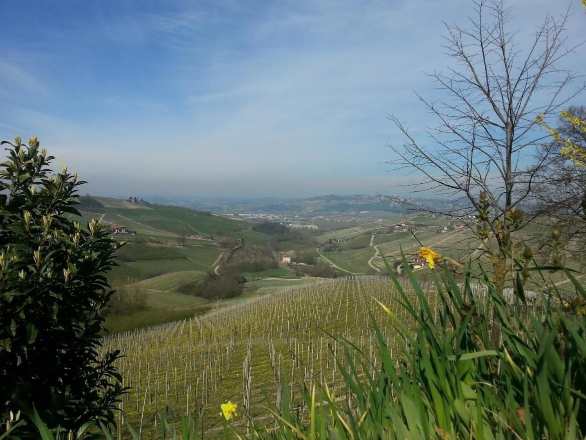 Ca Trifolera Barbaresco - Romantico Cascinale Con Antica Cantina Nel Cuore Delle Langhe - Degustazione Vini Nella Nostra Cantina エクステリア 写真