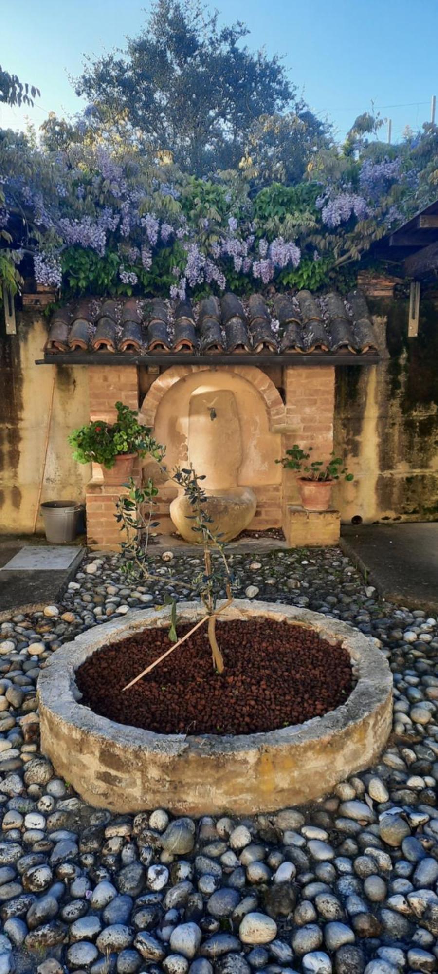 Ca Trifolera Barbaresco - Romantico Cascinale Con Antica Cantina Nel Cuore Delle Langhe - Degustazione Vini Nella Nostra Cantina エクステリア 写真
