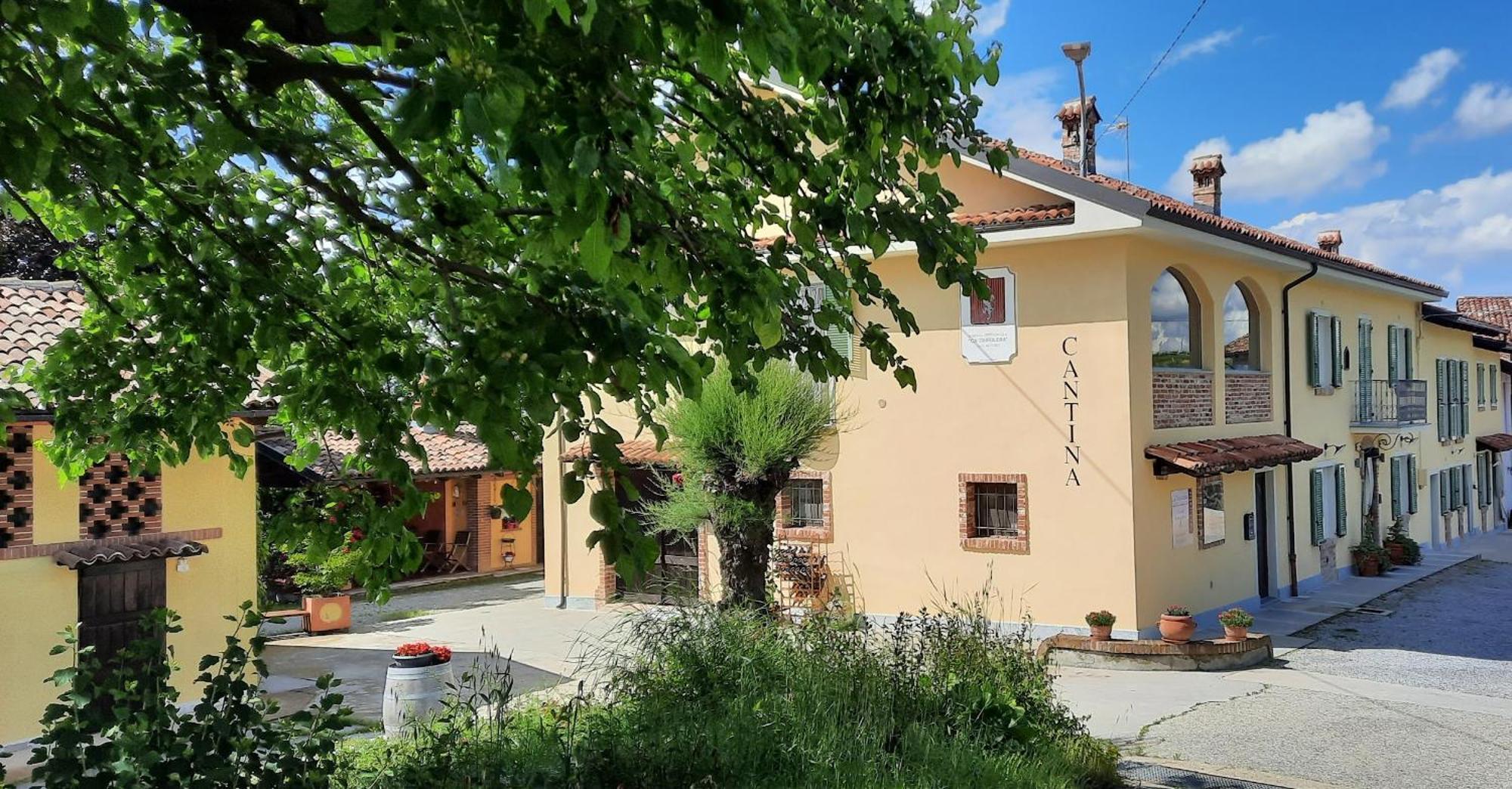 Ca Trifolera Barbaresco - Romantico Cascinale Con Antica Cantina Nel Cuore Delle Langhe - Degustazione Vini Nella Nostra Cantina エクステリア 写真