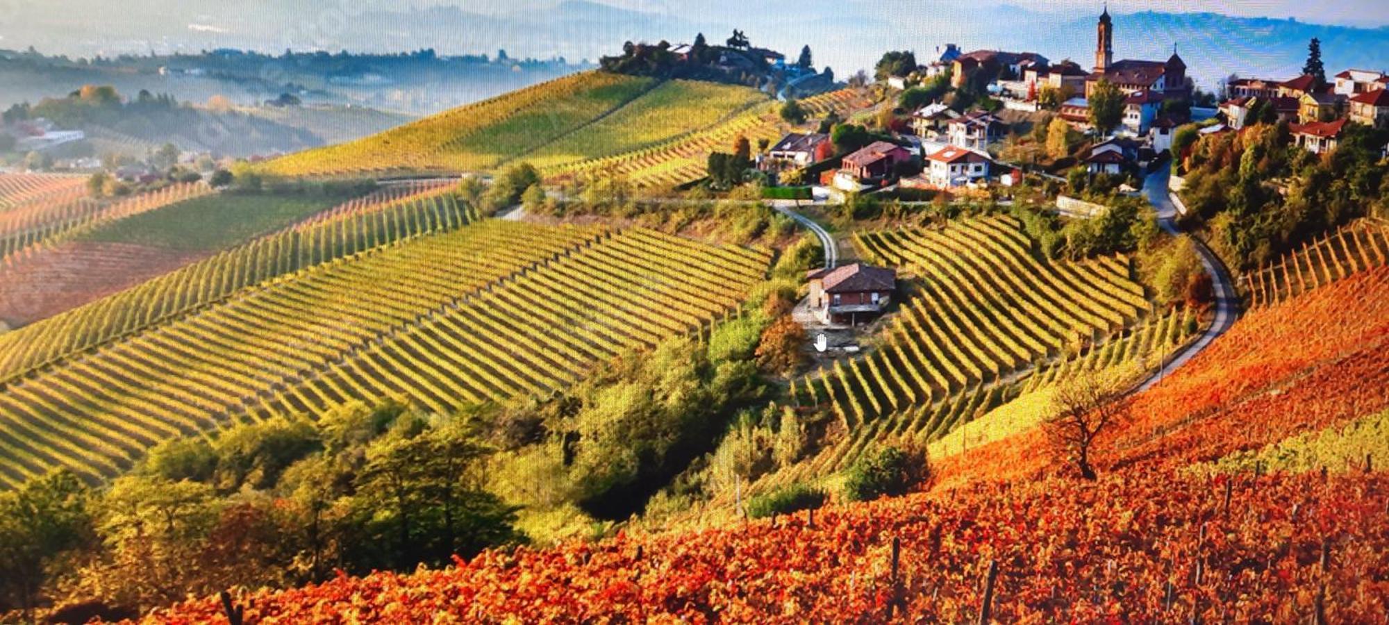 Ca Trifolera Barbaresco - Romantico Cascinale Con Antica Cantina Nel Cuore Delle Langhe - Degustazione Vini Nella Nostra Cantina エクステリア 写真