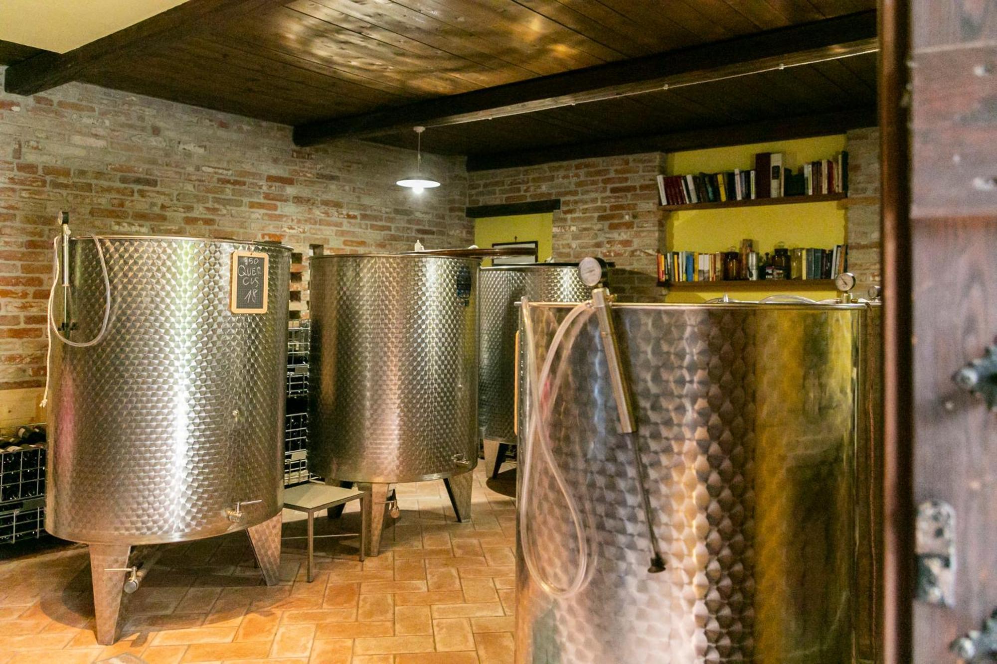Ca Trifolera Barbaresco - Romantico Cascinale Con Antica Cantina Nel Cuore Delle Langhe - Degustazione Vini Nella Nostra Cantina エクステリア 写真