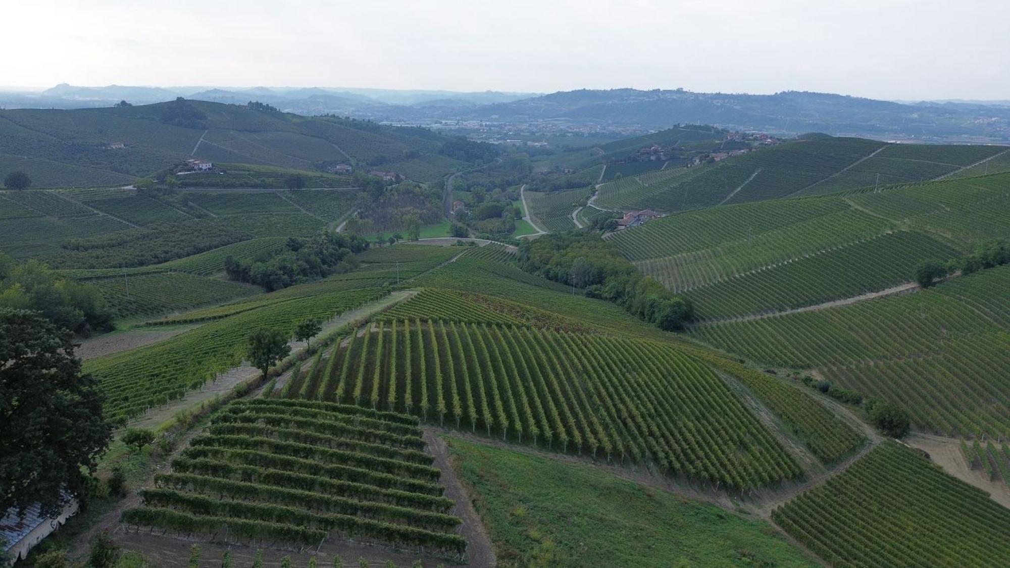 Ca Trifolera Barbaresco - Romantico Cascinale Con Antica Cantina Nel Cuore Delle Langhe - Degustazione Vini Nella Nostra Cantina エクステリア 写真